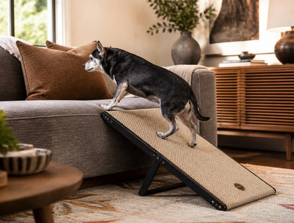 dog ramp for couch access